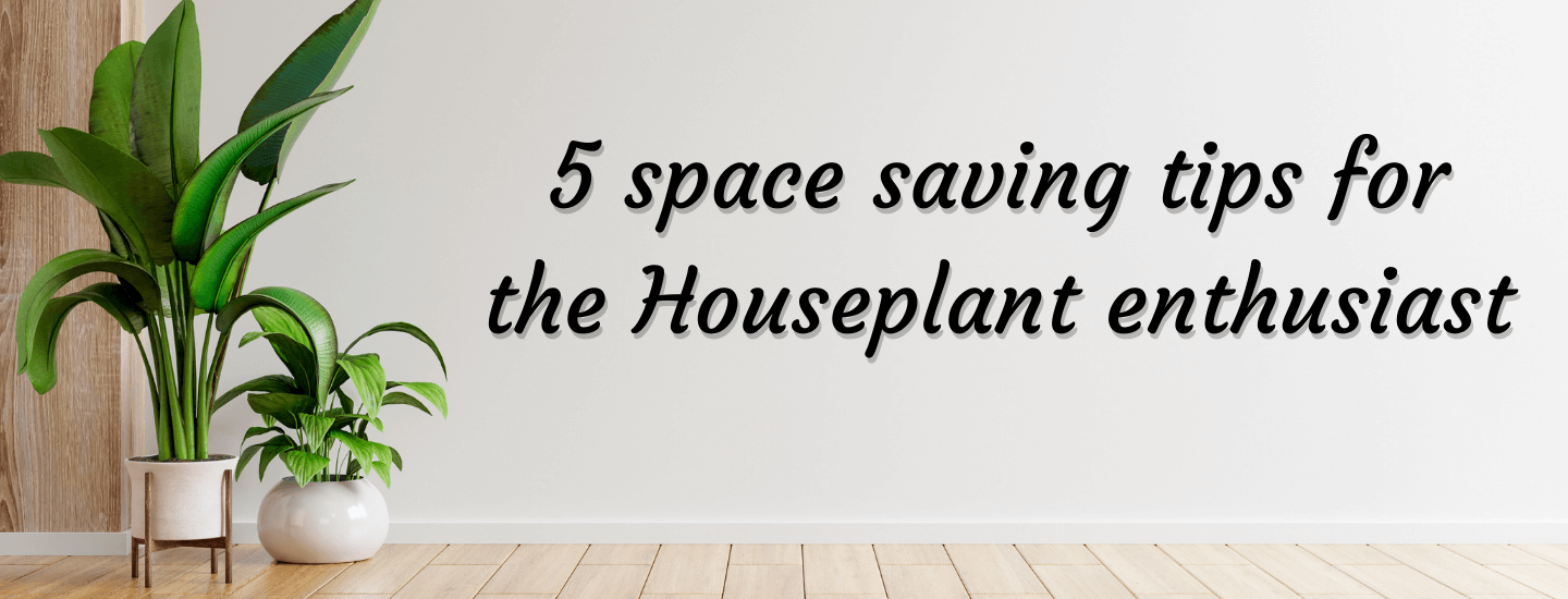 keeping Houseplants with limited space