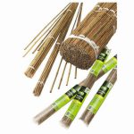 BAMBOO CANES 180cm (6FT) 10 PACK