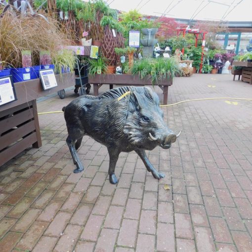 WILD BOAR - Image 2