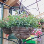 WICKER HANGING BASKET