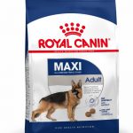 ROYAL CANIN DOG MAXI ADULT 26 4KG