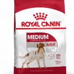 ROYAL CANIN DOG MEDIUM ADULT 4KG