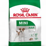 ROYAL CANIN DOG MINI ADULT 2KG