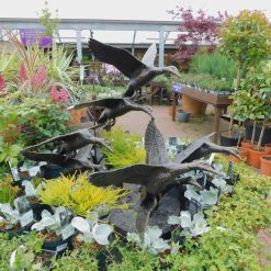 Alternative view of Flying Ducks