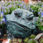 BULL FROG (TEAL)