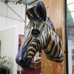 ZEBRA BUST