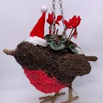 Robin redbreast hanging basket Christmas arrangement
