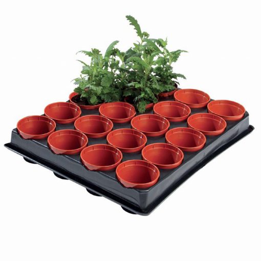 MINI SEED AND CUTTING TRAY (20 X 6CM POTS) - Image 2