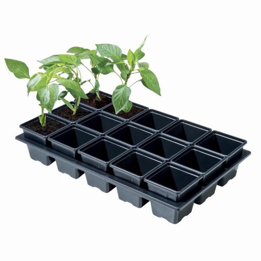 MINI VEGETABLE TRAY (15 X 7CM SQ POTS) - Image 2