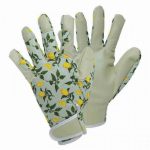 SMART GARDENERS - SICILIAN LEMON