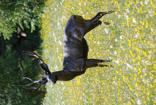 STAG STANDING PROUD - Image 2