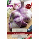 FRENCH GARLIC EDENROSE 45-60 P/P