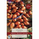 PRE-PACKED LONGOR FRENCH SHALLOT 15-35