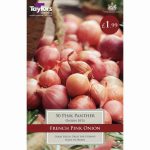 ONION PINK PANTHER 14-21 PRE-PACK