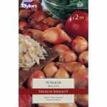PRE-PACKED MIKOR FRENCH SHALLOT 15-40