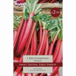 RHUBARB RED CHAMPAGNE