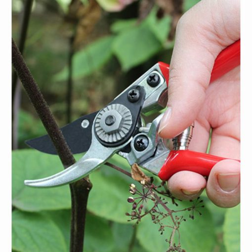 DARLAC- LADIES PROFESSIONAL PRUNER - Image 3