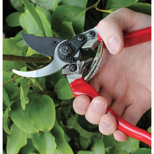 DARLAC- PROFESSIONAL PRUNER - Image 3