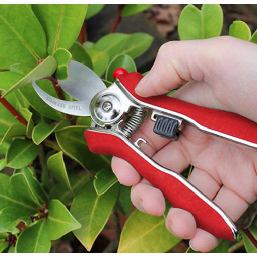 DARLAC- MINI BYPASS PRUNER - Image 3