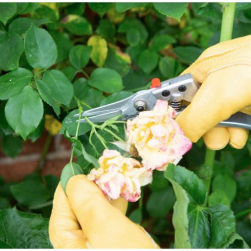 W SWORD RAZORCUT COMFORT PRUNING SNIP - Image 2