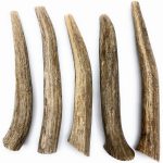 ANTLER STAG BAR WHOLE SMALL