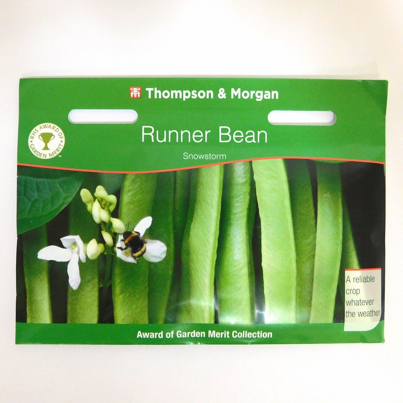 THOMPSON &amp; RUNNER BEAN SNOWSTORM Monkton Elm Garden Centre