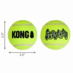 AIR KONG SQUEAKER TENNIS BALL MEDIUM