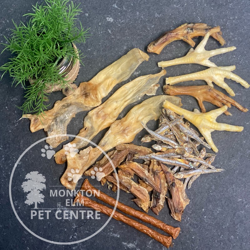 Pet Shop Somerset Pet Centre Monkton Elm Garden Centre