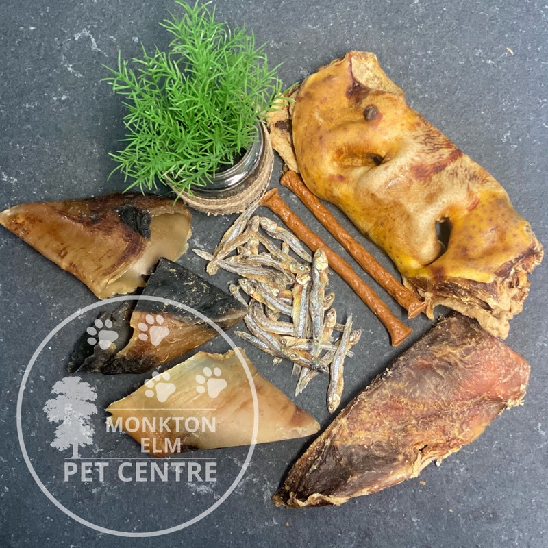 Pet Shop Somerset Pet Centre Monkton Elm Garden Centre