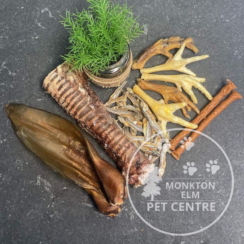 Pet Shop Somerset Pet Centre Monkton Elm Garden Centre