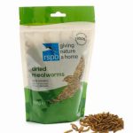 RSPB- DRIED MEALWORMS 100G PACK
