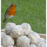 RSPB- SUPER SUET BALLS 6 PACK