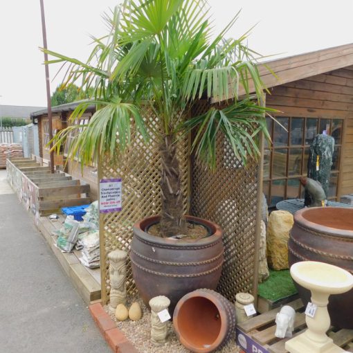 LARGE EARTHENWARE STYLE POT - 38CM - Image 2