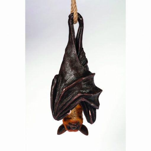 Hanging Bat