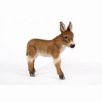 Donkey standing brown