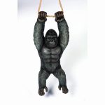 Hanging Gorilla