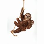 Climbing Sloth and Baby