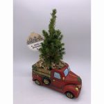 Cement truck with tree christmas arrangement