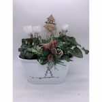 Modern tin trough white Christmas arrangement