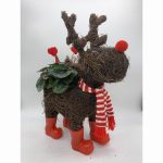 Moose red boots red cyclamen Christmas arrangement