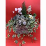 Whitewash basket square Christmas arrangement