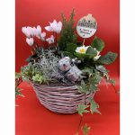 Whitewash basket round Christmas arrangement