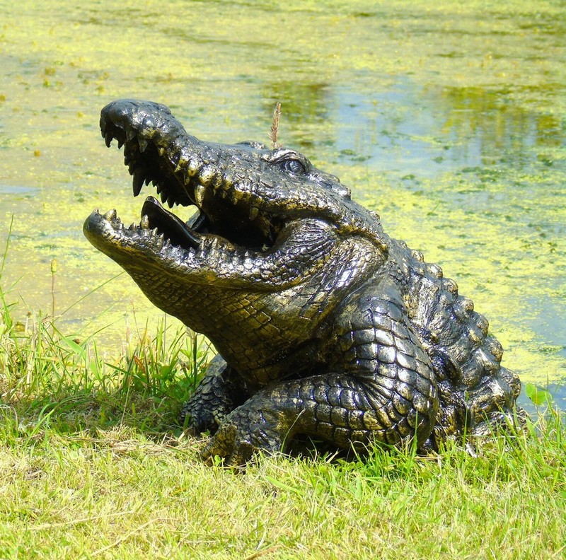 Aligator Head
