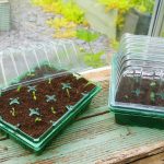 Visiroot Twin Propagator Set