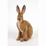 Hare (Ornament)