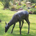 Doe Grazing (Aluminium Statue)