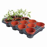 Growing Tray (12 X 11cm Pots)