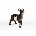 Standing Pygmy Goat