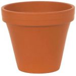 Standard Terracotta Pot 13cm
