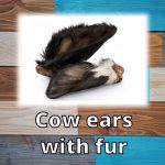 DOGGY DELI NATURALS - COW EARS WITH FUR - SINGLE